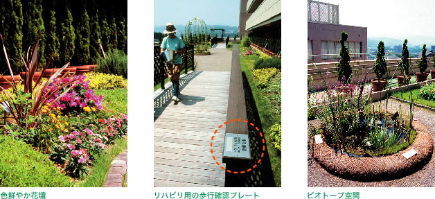 色鮮やかな花壇 / リハビリ用の歩行確認プレート / ピオトープ空間