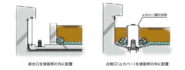 排水口と点検口の配置