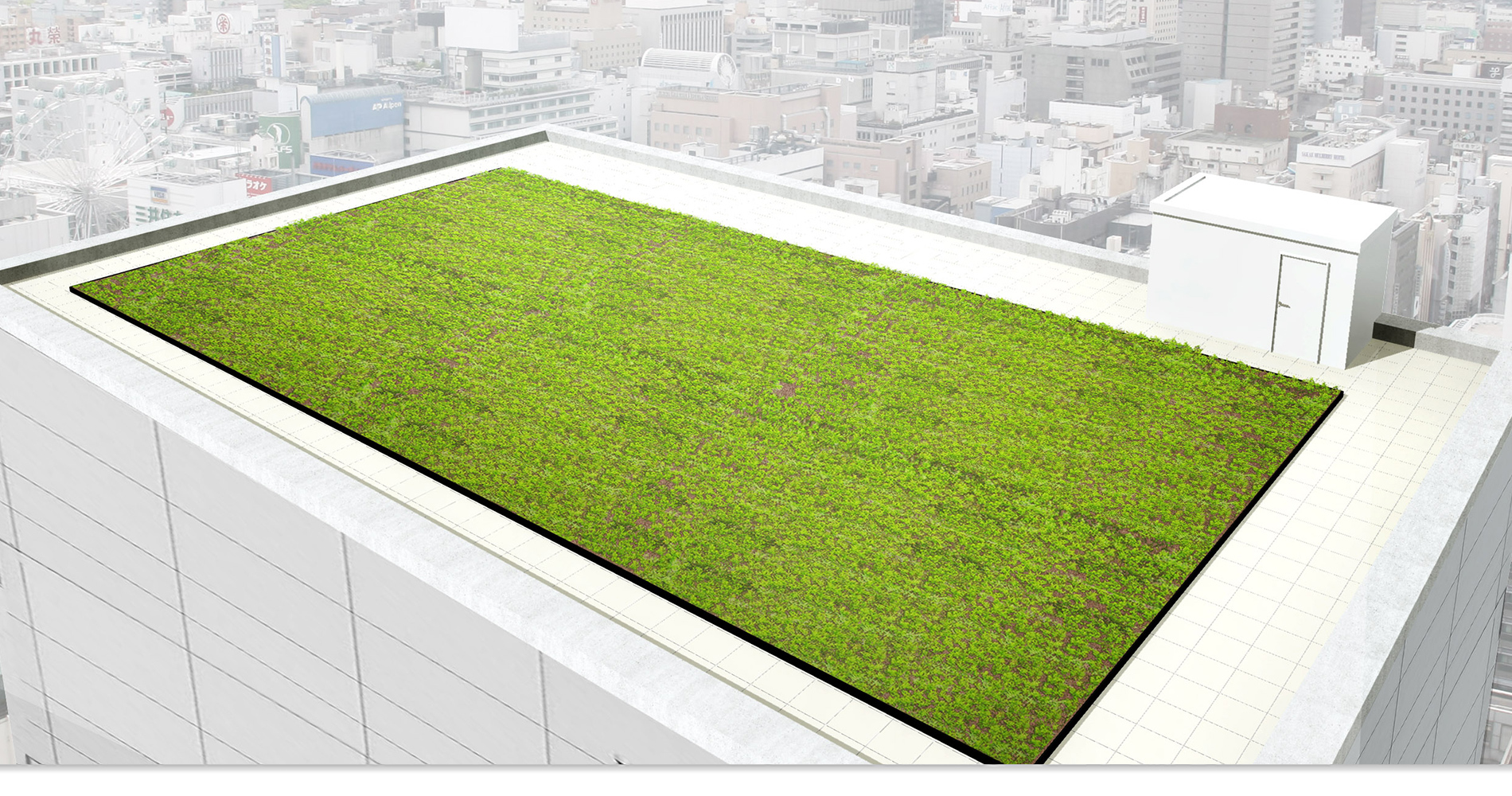 シンプルプランの屋上緑化イメージです。