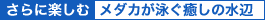 �y����Ɋy���ށz���_�J���j�������̐���
