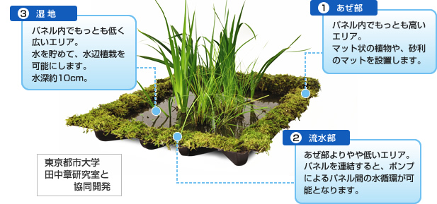 (1)あぜ部 パネル内でもっとも高いエリア。マット状の植物や、砂利のマットを設置します。/(2)流水部 あぜ部よりやや低いエリア。 パネルを連結すると、ポンプによるパネル間の水循環が可能となります。/(3)湿地 パネル内でもっとも低く広いエリア。水を貯めて、水辺植栽を可能にします。水深約10cm。「東京都市大学田中章研究室と協同開発」 (1)あぜ部 パネル内でもっとも高いエリア。マット状の植物や、砂利のマットを設置します。/(2)流水部 あぜ部よりやや低いエリア。 パネルを連結すると、ポンプによるパネル間の水循環が可能となります。/(3)湿地 パネル内でもっとも低く広いエリア。水を貯めて、水辺植栽を可能にします。水深約10cm。「東京都市大学田中章研究室と協同開発」