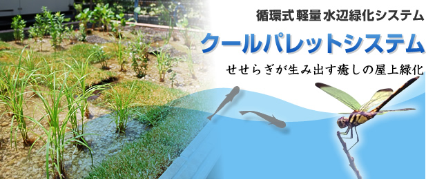クールパレットシステム(循環式軽量水辺緑化システム)せせらぎが生み出す癒しの屋上緑化 クールパレットシステム(循環式軽量水辺緑化システム)せせらぎが生み出す癒しの屋上緑化