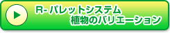 R-�p���b�g�V�X�e���A���̃o���G�[�V����