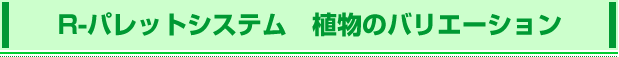 R-�p���b�g�V�X�e�� �A���̃o���G�[�V����