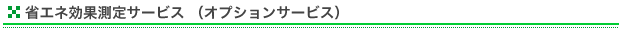 �ȃG�l���ʑ���T�[�r�X �i�I�v�V�����T�[�r�X�j