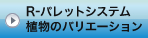 R-�p���b�g�V�X�e�� �A���̃o���G�[�V����