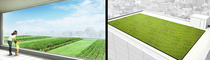 屋上緑化工法「スマートシステム」イメージ