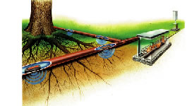 自動灌水設備の活用